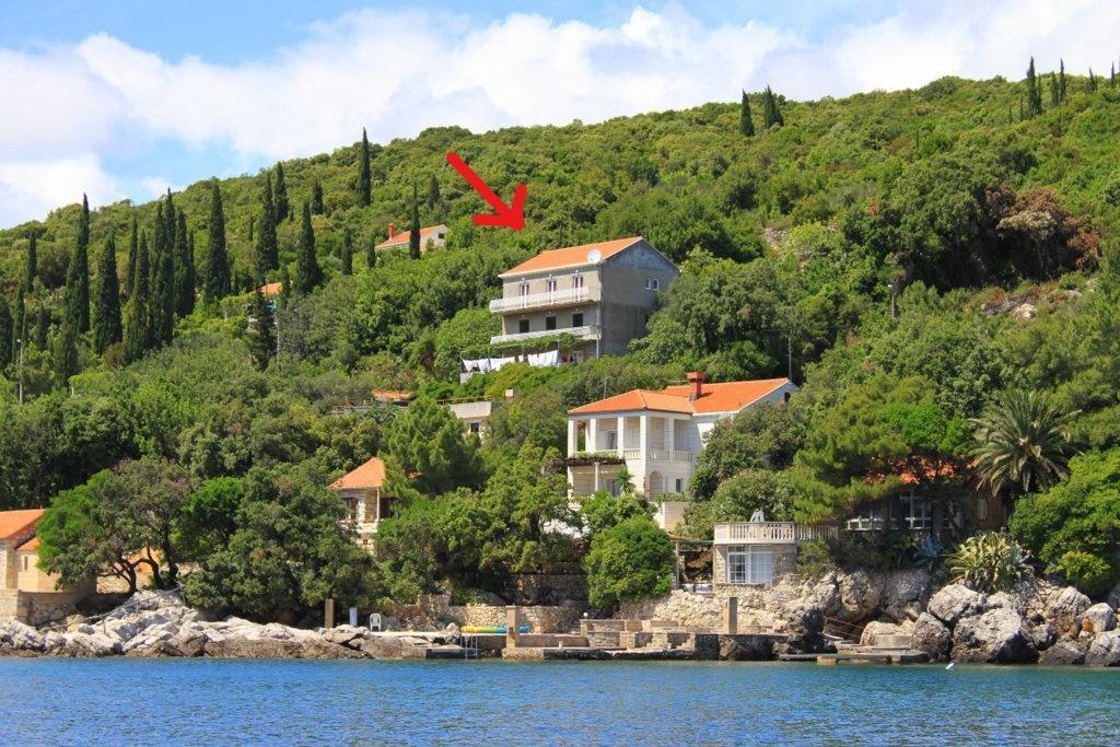 Apartments Antunovic Molunat Exteriér fotografie